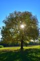 Herbstferien