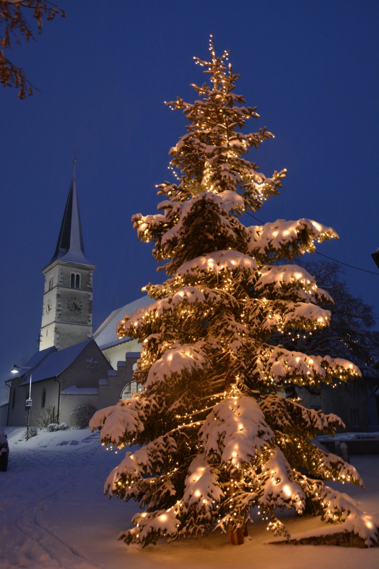 Weihnachtsbaum