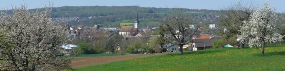 Landschaft mit Kirche Therwil